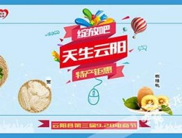 云阳品牌网站设计,云阳广告