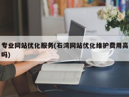 专业网站优化服务(石湾网站优化维护费用高吗)