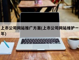 上市公司网站推广方案(上市公司网站维护一年)