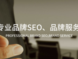 长沙seo服务外包公司(上海长沙有分公司seo)