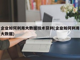 企业如何利用大数据技术获利(企业如何利用大数据)