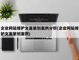 企业网站维护文案策划案例分析(企业网站维护文案策划案例)