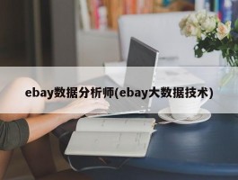 ebay数据分析师(ebay大数据技术)