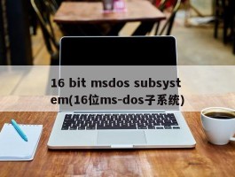 16 bit msdos subsystem(16位ms-dos子系统)