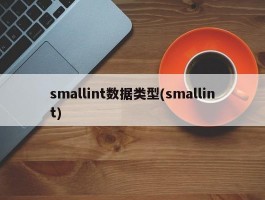 smallint数据类型(smallint)