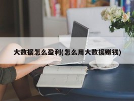 大数据怎么盈利(怎么用大数据赚钱)