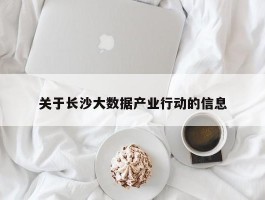 关于长沙大数据产业行动的信息