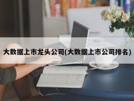 大数据上市龙头公司(大数据上市公司排名)