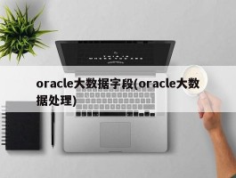 oracle大数据字段(oracle大数据处理)