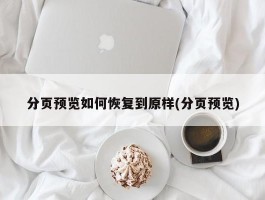 分页预览如何恢复到原样(分页预览)