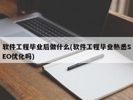 软件工程毕业后做什么(软件工程毕业熟悉SEO优化吗)