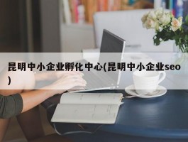 昆明中小企业孵化中心(昆明中小企业seo)