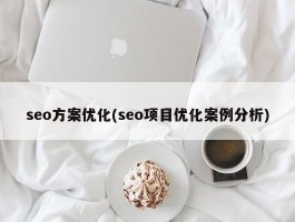 seo方案优化(seo项目优化案例分析)