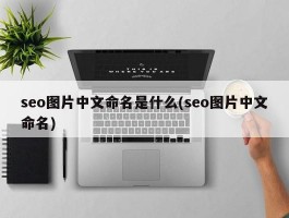 seo图片中文命名是什么(seo图片中文命名)