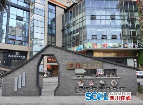 洪雅网站制作,洪雅网红店在哪里