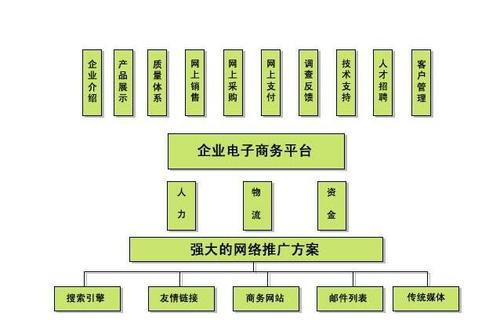 电商类网站怎么做seo,电商网站建设教程